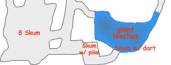Battle with Skum and Giant Leeches