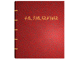 Book with Runes on the cover